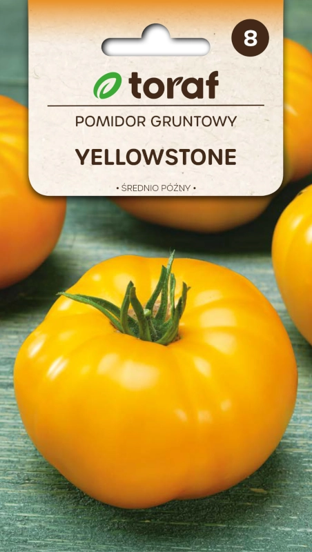 Toraf Pomidor Gruntowy Yellowstone nasiona 2 sklep rajogrodnika